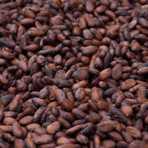 Cocoa Beans